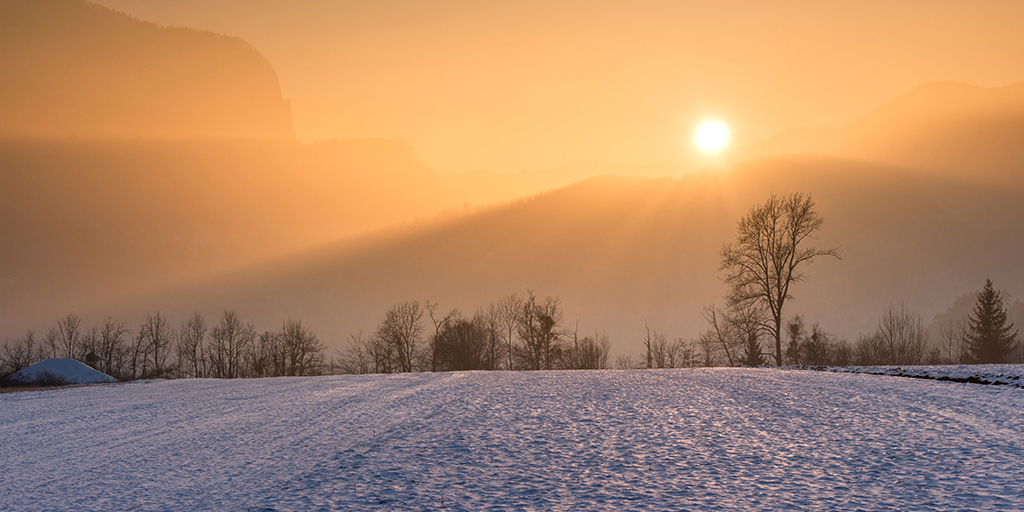 Winter economy plan